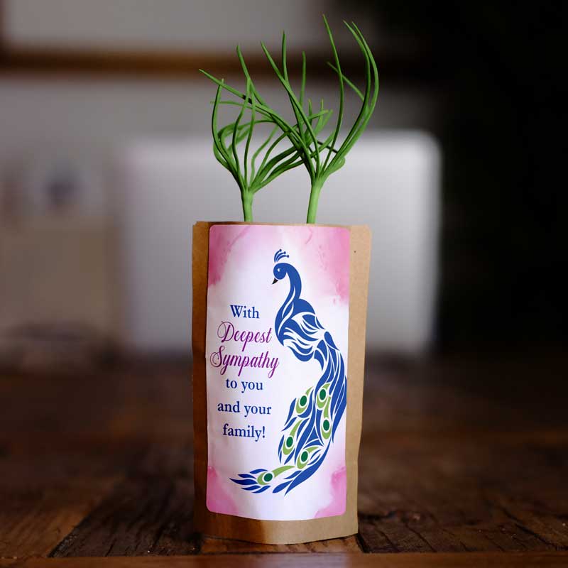 Sympathy Feathers