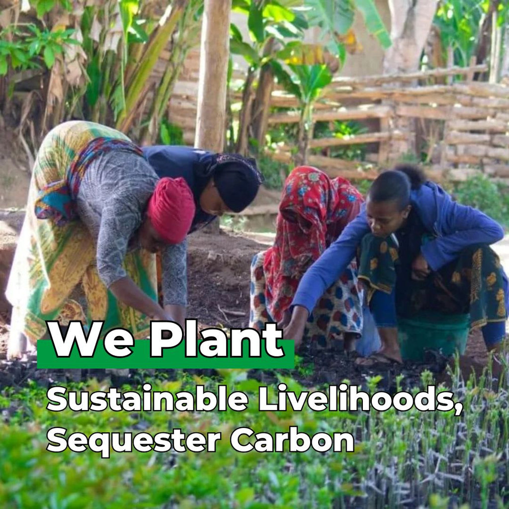 Gift Us a Forest – 200 Trees to Celebrate Our Love – “We Are Love Birds”