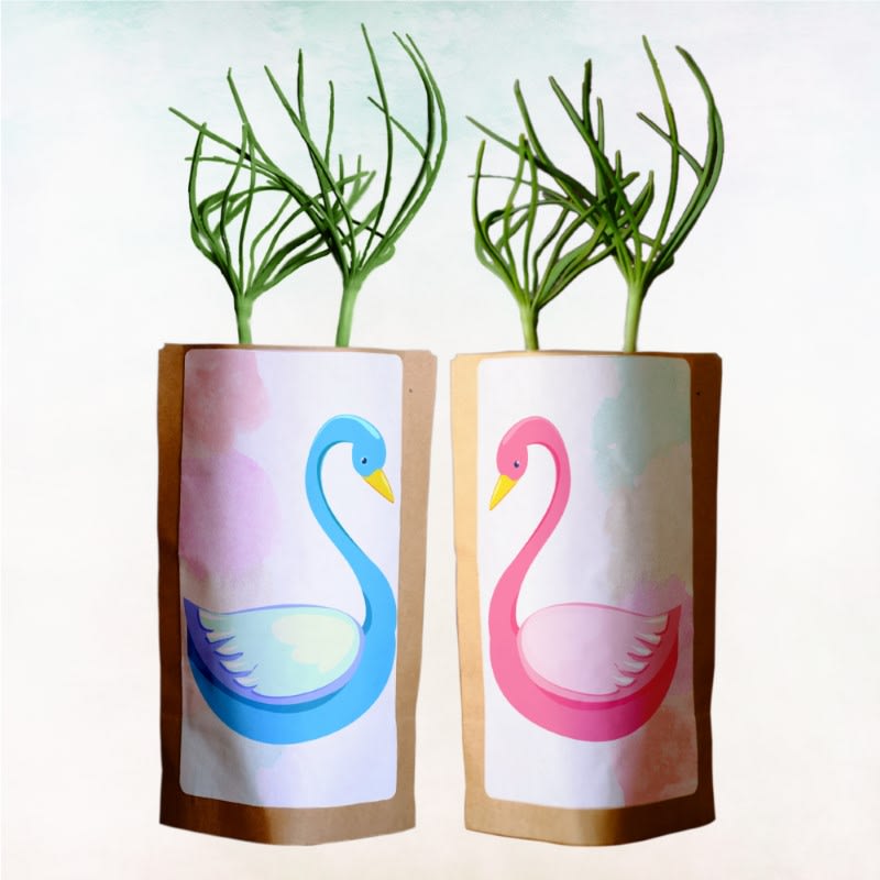 Grow Our Love with 20 Trees Planted in Honor of the Couple – “Swan Love"