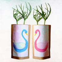 Grow Our Love with 20 Trees Planted in Honor of the Couple – “Swan Love