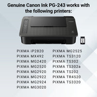 Canon PG-243 Black Ink Cartridge