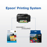 EPSON T220 DURABrite Ultra Genuine Ink High Capacity Black Cartridge