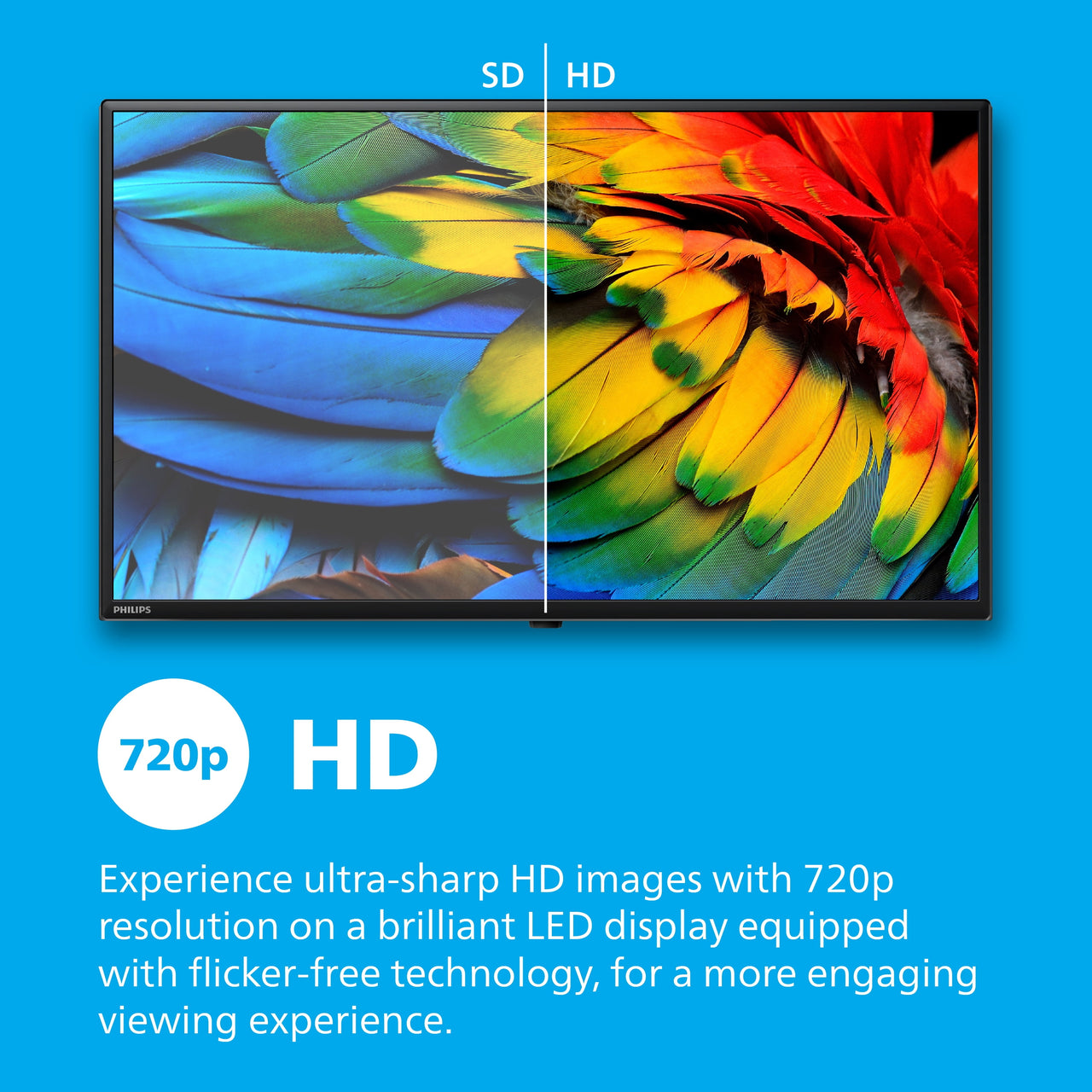 Philips 32" Class HD (720P) Smart Roku Borderless LED TV (32PFL6452/F7) (New)