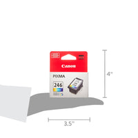 Canon CL-246 Tri-Color Inkjet Print Cartridge