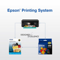 Epson 288 DURABrite Ultra Inks, Standard-Yield, Black