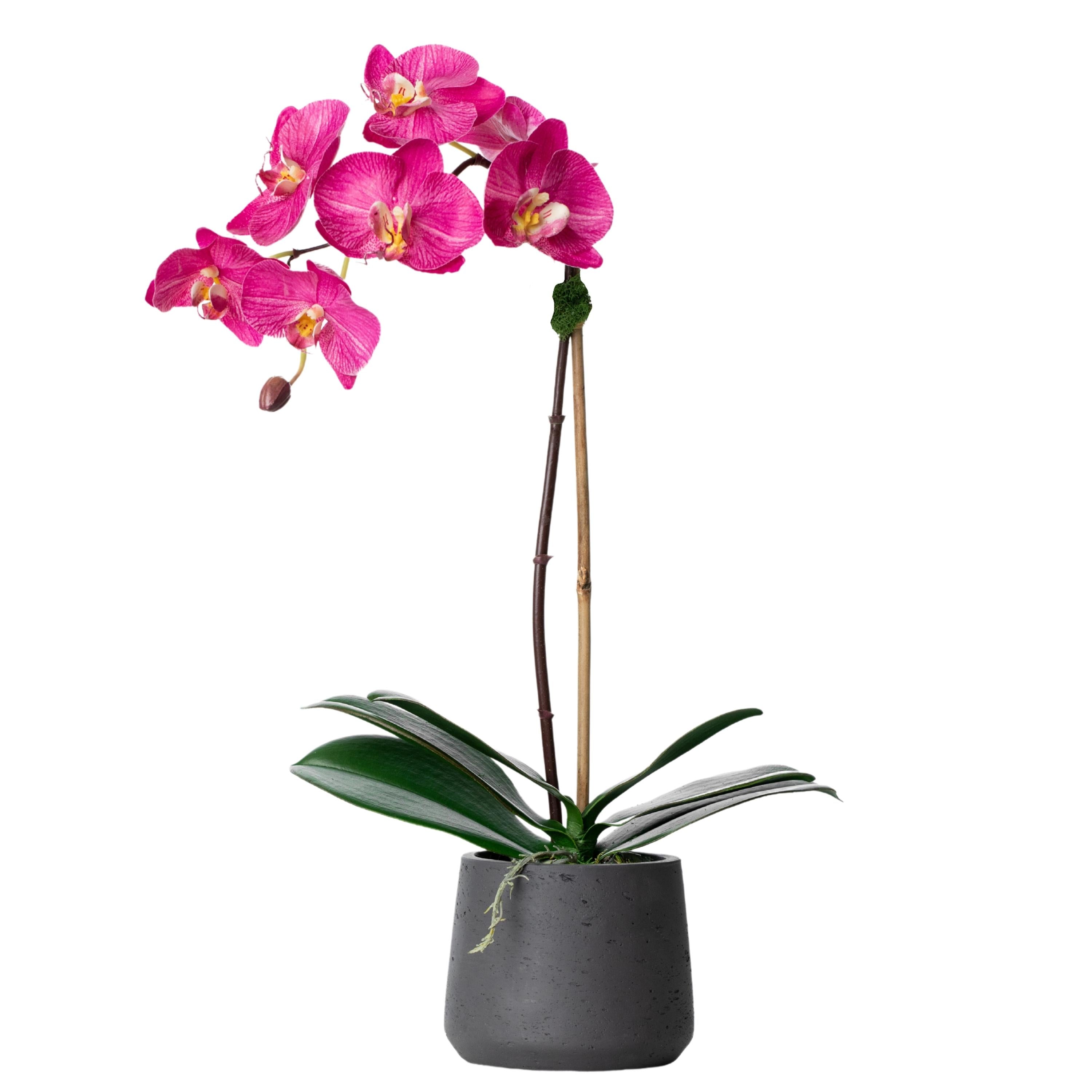 Artificial orchid plant - pink phalaenopsis orchid in black pot - 21"
