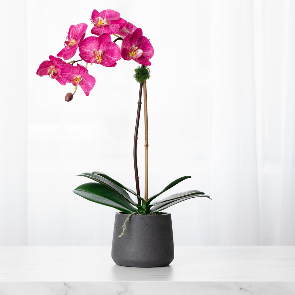 Artificial orchid plant - pink phalaenopsis orchid in black pot - 21"