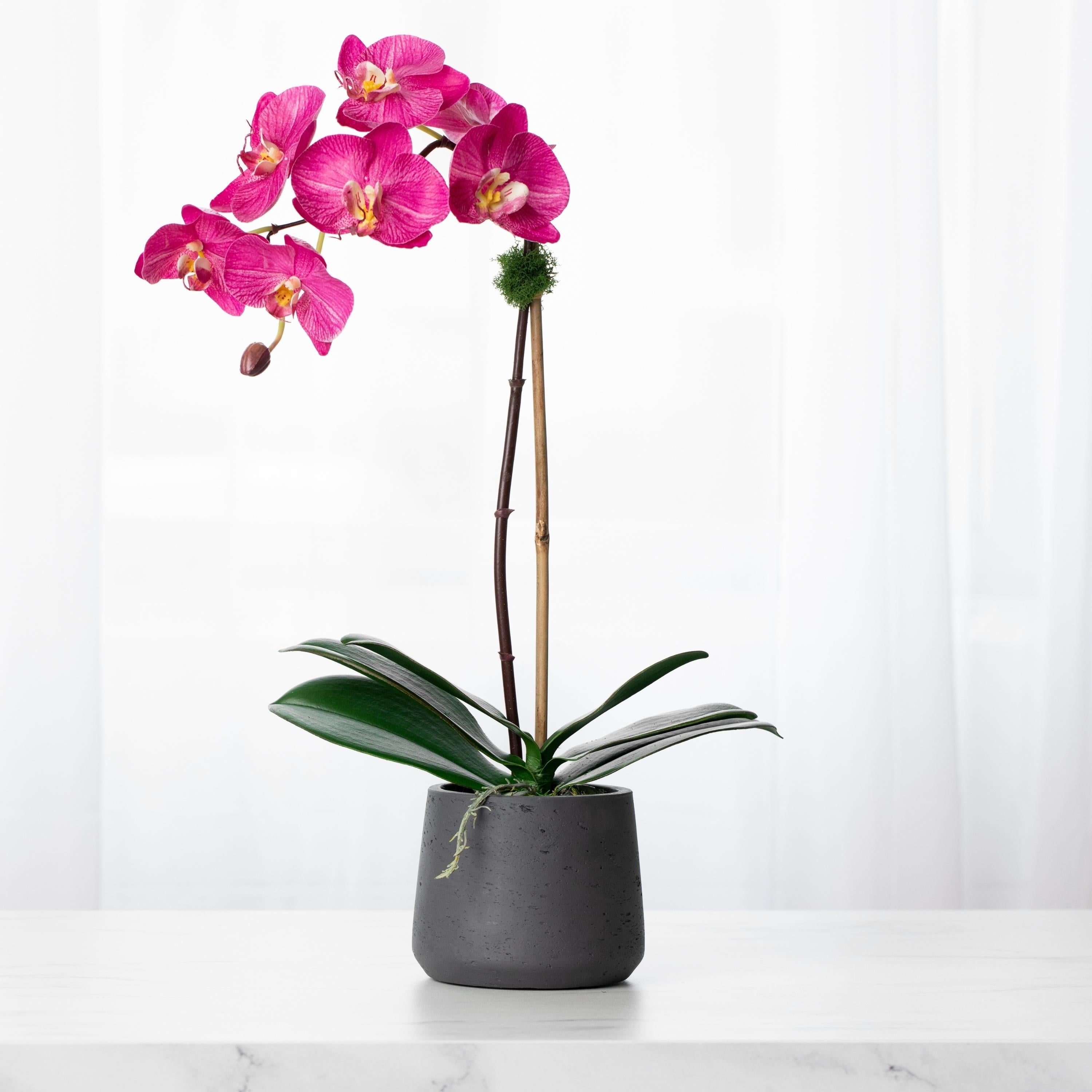 Artificial orchid plant - pink phalaenopsis orchid in black pot - 21"