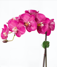 Artificial orchid plant - pink phalaenopsis orchid in black pot - 21