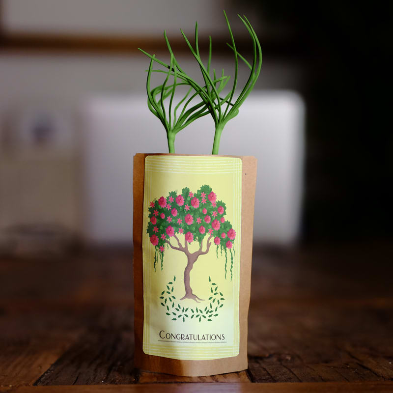 Congratulations Flowering Tree