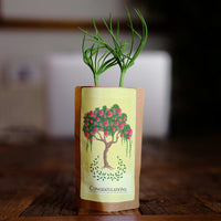 Congratulations Flowering Tree