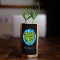 Earth with Heart – Tree Kit - We Plant 20 Trees