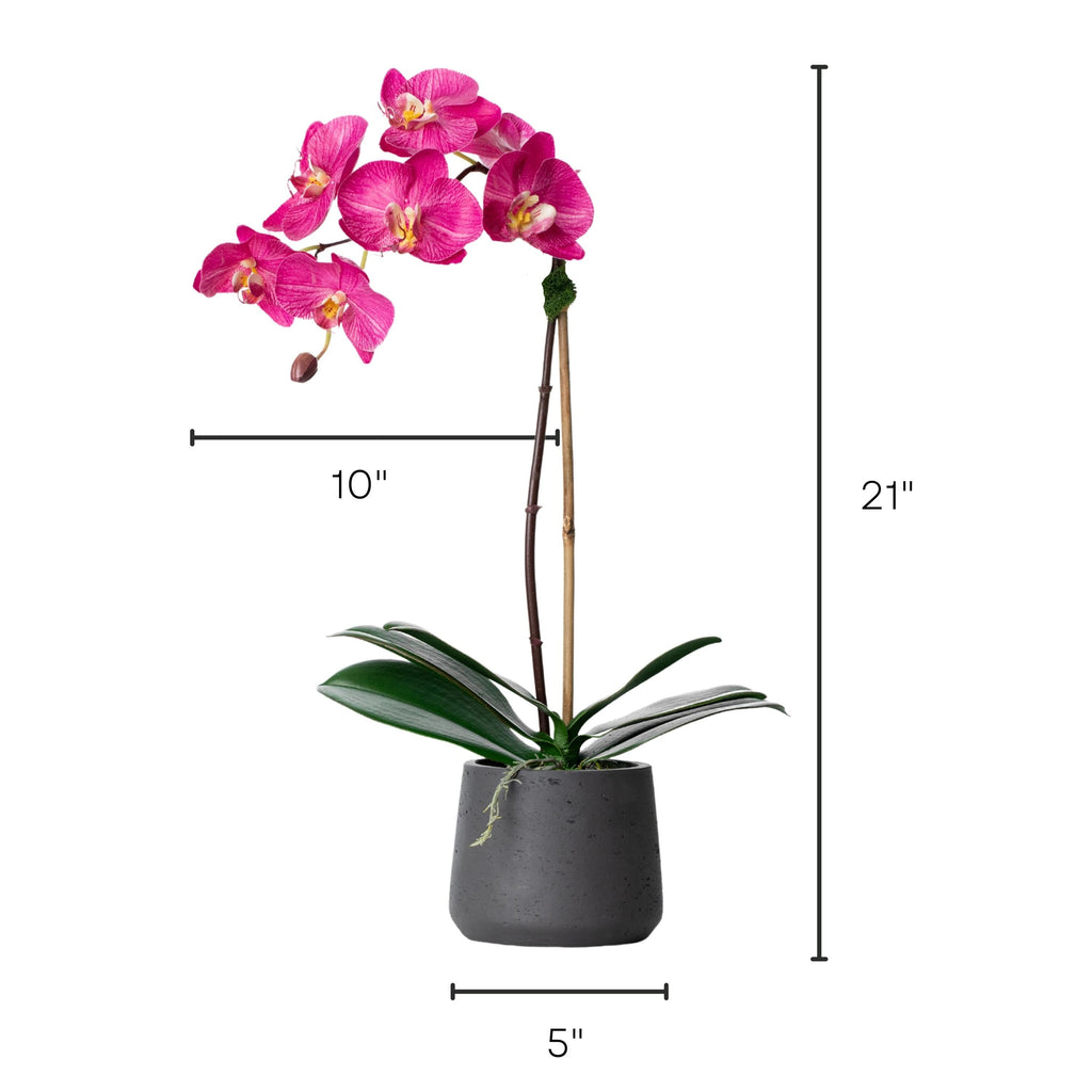 Artificial orchid plant - pink phalaenopsis orchid in black pot - 21"