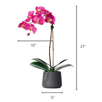 Artificial orchid plant - pink phalaenopsis orchid in black pot - 21