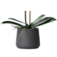 Artificial orchid plant - pink phalaenopsis orchid in black pot - 21