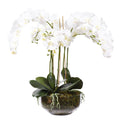 White Silk Orchid Arrangement in Glass Vase